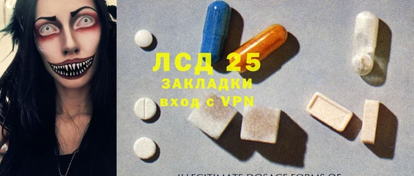 стаф Аркадак