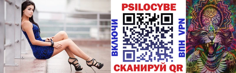 Псилоцибиновые грибы Psilocybine cubensis  как найти   Унеча 